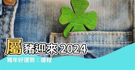 2024豬運勢|2024年豬年運勢：你的個人成長